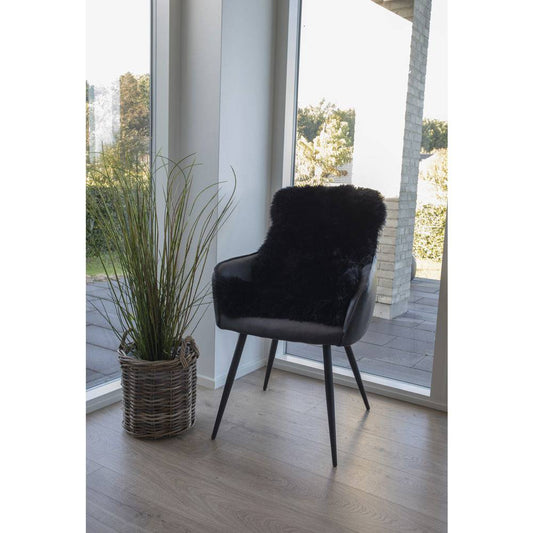 Blana de miel neagra, pe scaun