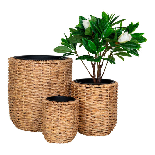 Ghiveci din zambila de apa, natur, set de 3
