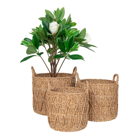 cos din iarba de mare, natur set de 3