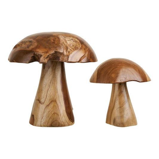 Decoratiuni ciuperci din tec, natur, set de 2