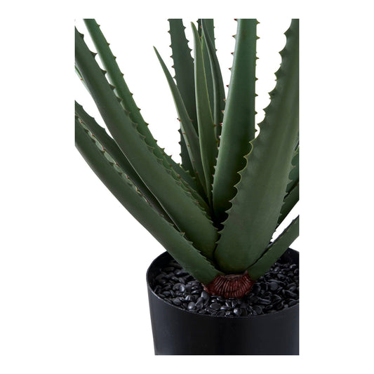 aloe vera planta artificiala verde