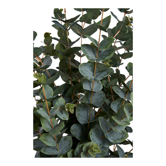 planta artificiala de eucalipt