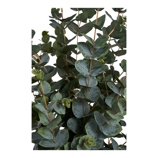 planta artificiala de eucalipt