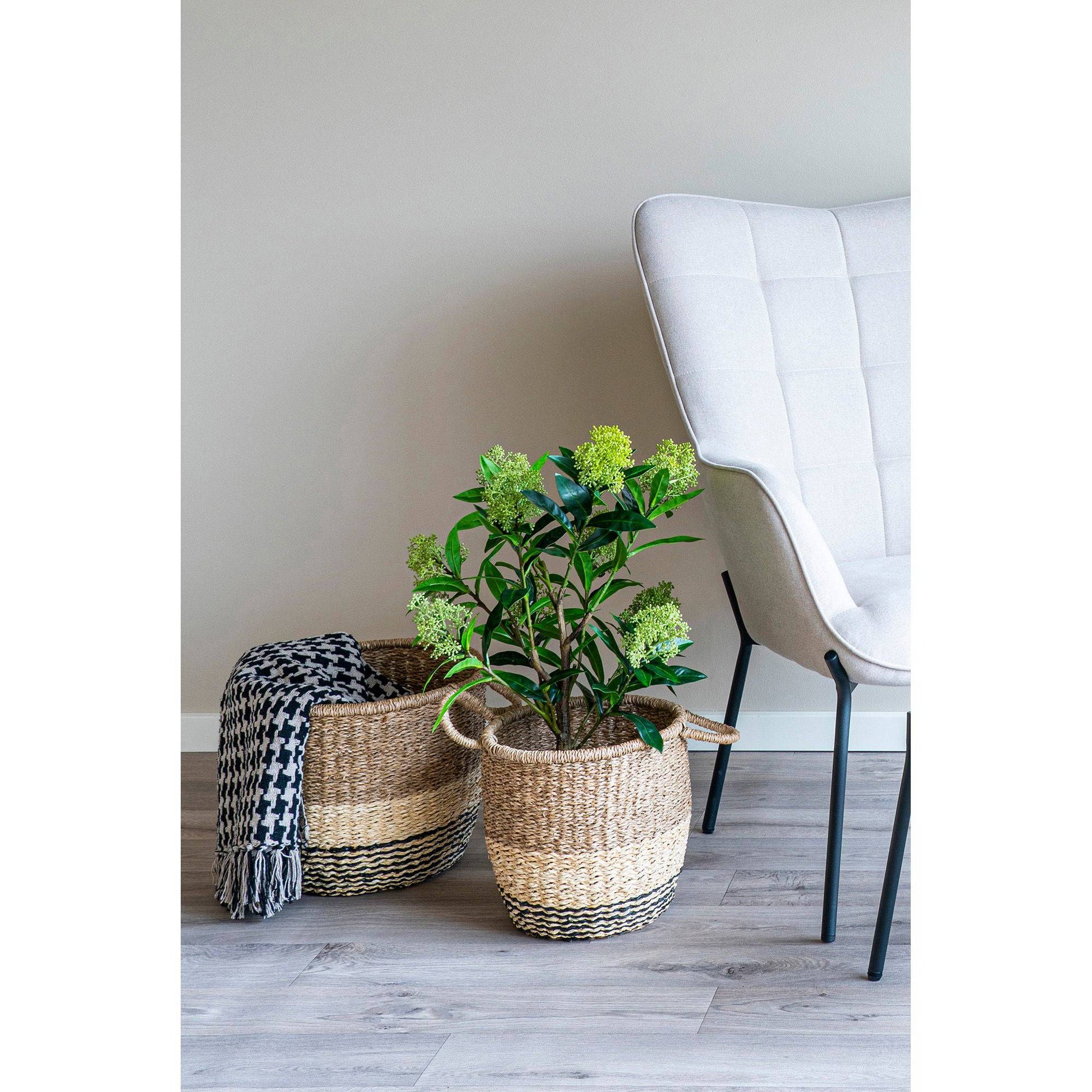  Pled negru/bej