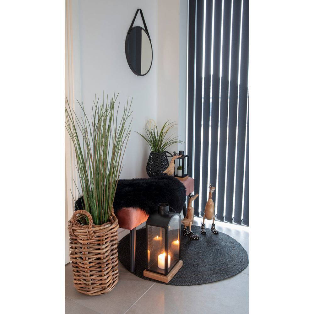  Blana de miel neagra