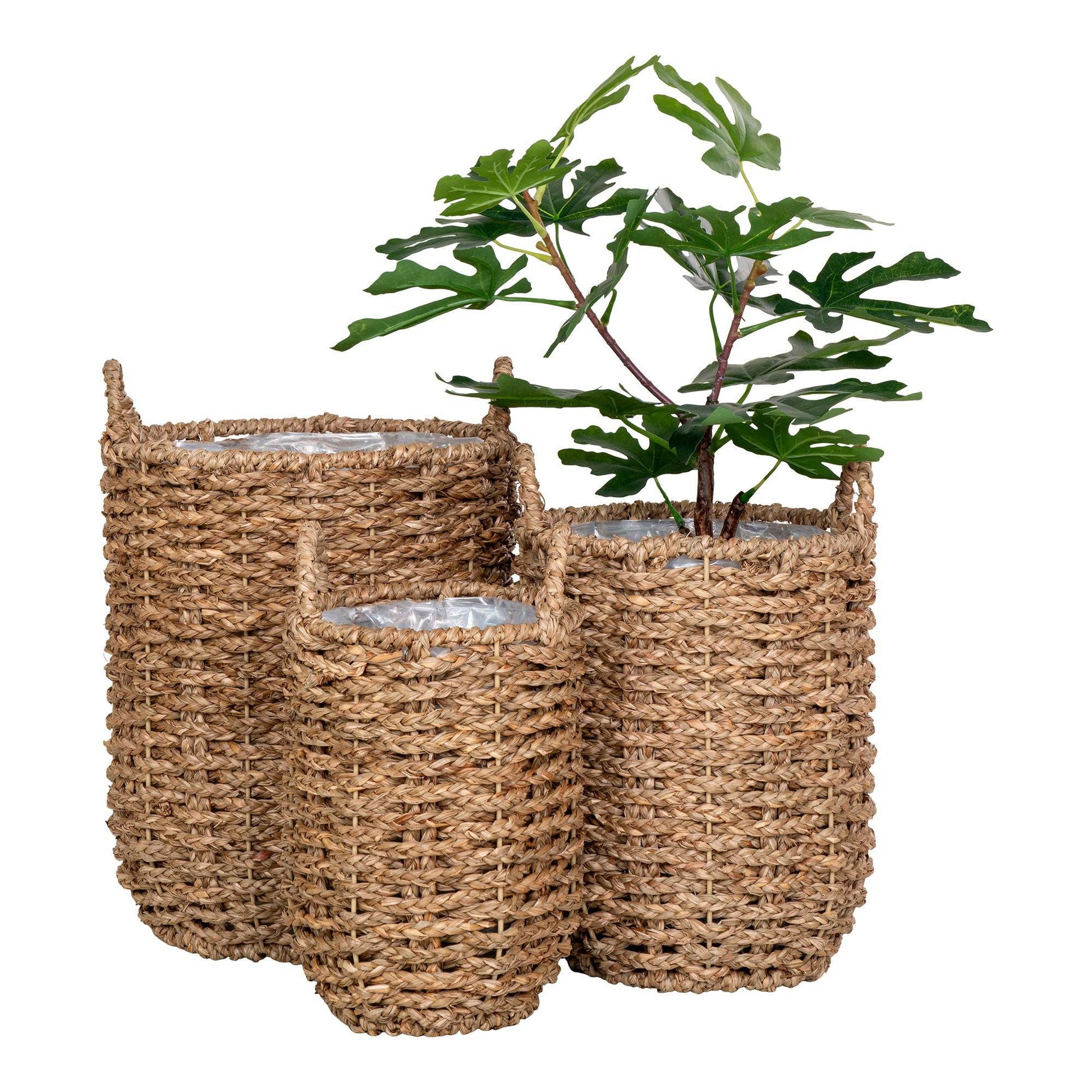 cos din iarba de mare, natur set de 3
