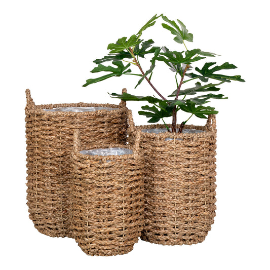cos din iarba de mare, natur set de 3