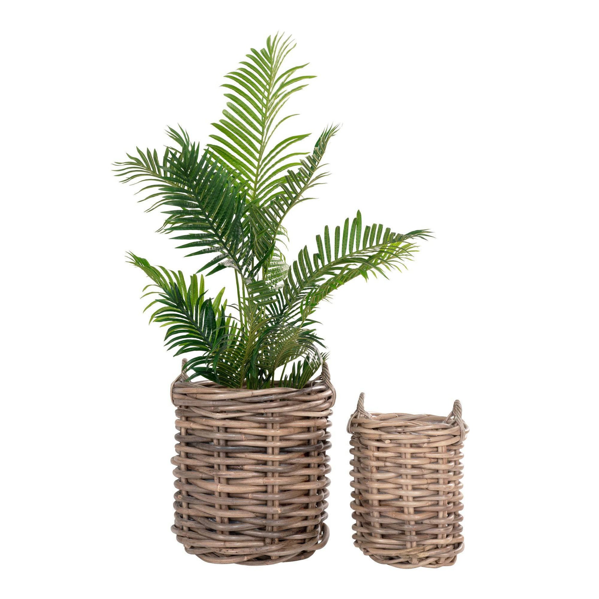 cos din ratan kubu, natur set de 2