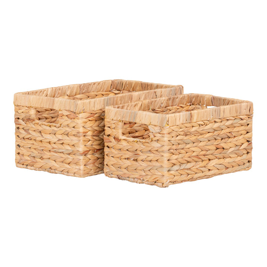 Cos din zambila de apa, natur set de 2
