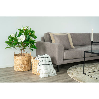 Cos din zambila de apa, natur set de 2, in living