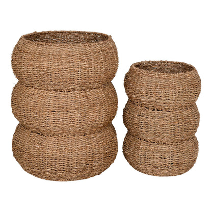 cos din zambila de mare, natur, set de 2, pe fundal alb