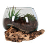 Decoratiune sub forma de picatura, tec/sticla, natur San Marino I:15 cm