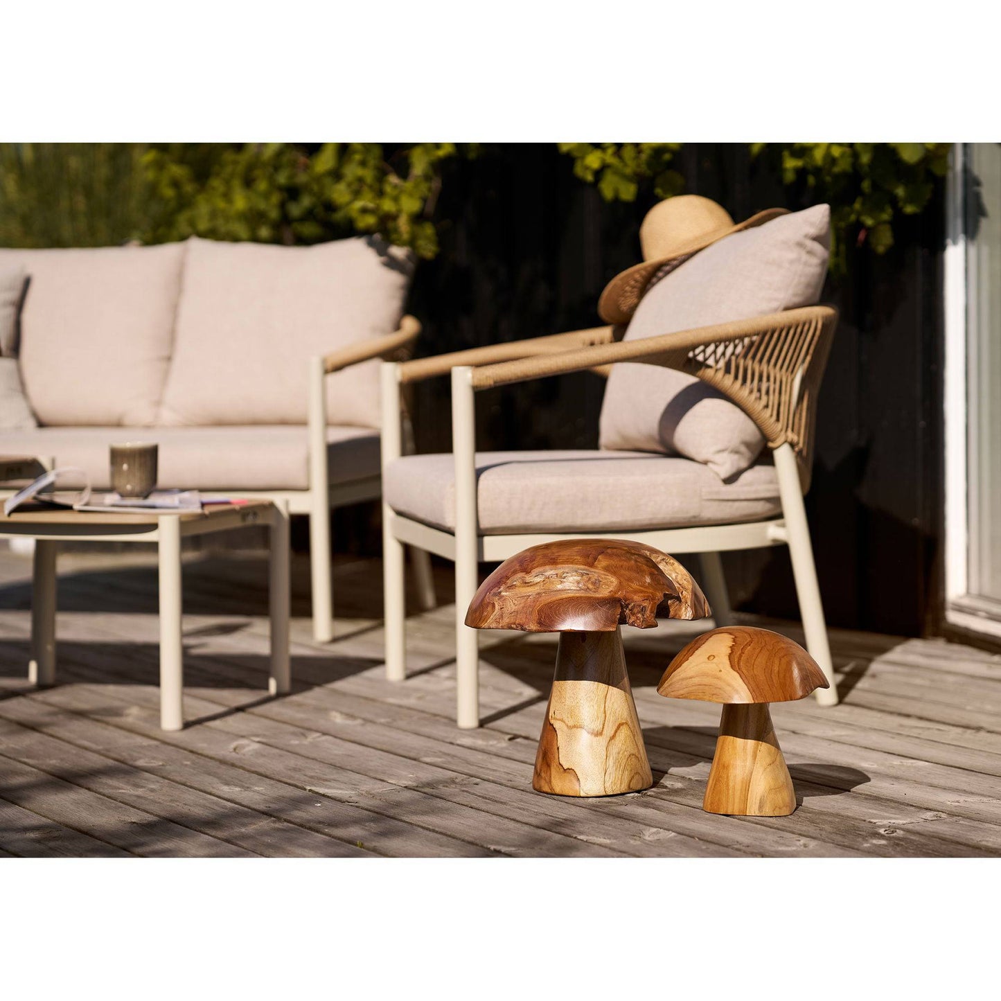 Decoratiuni ciuperci din tec, natur, set de 2
