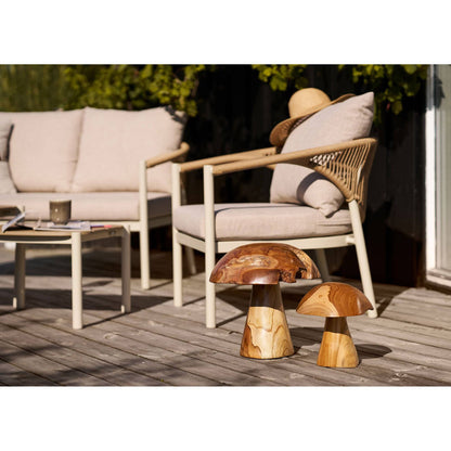 Decoratiuni ciuperci din tec, natur, set de 2