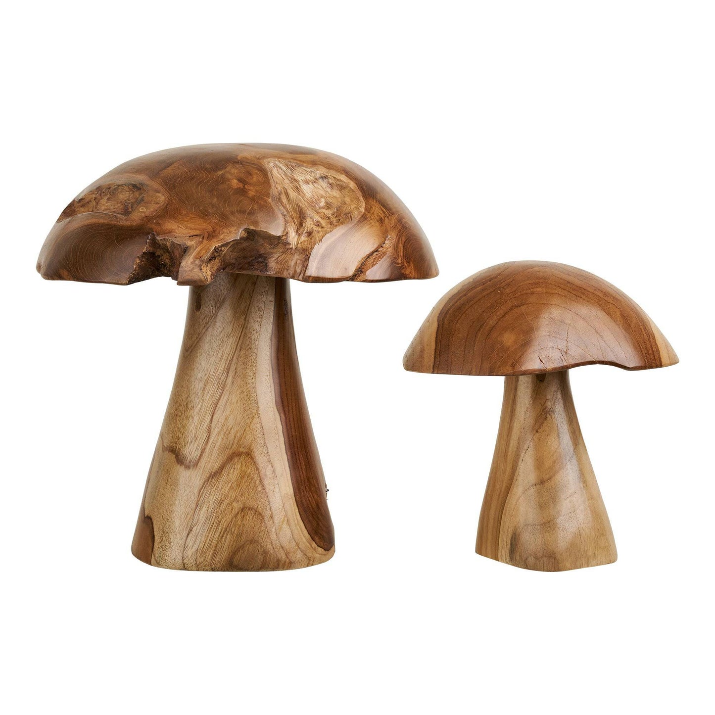 Decoratiuni ciuperci din tec, natur, set de 2