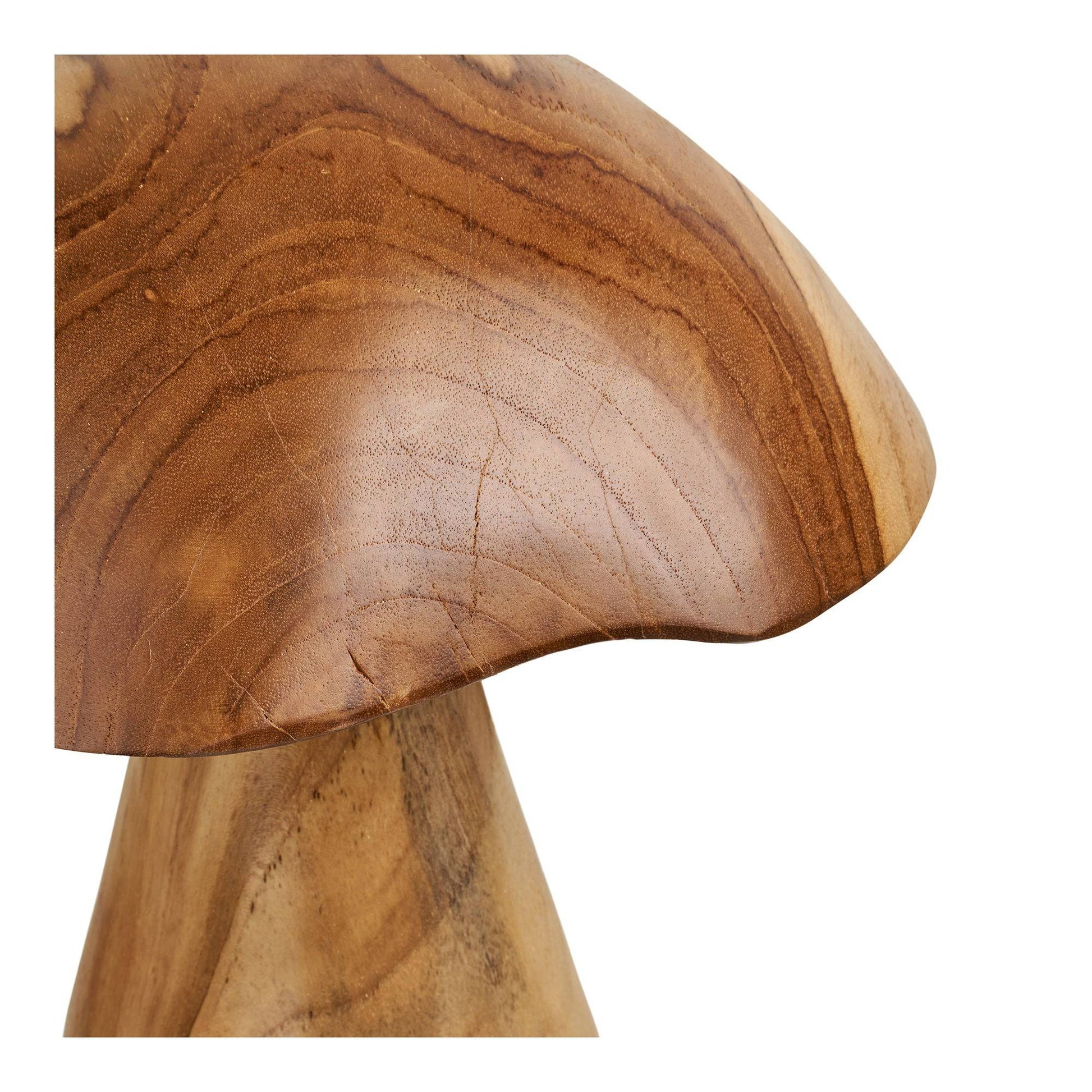 Decoratiuni ciuperci din tec, natur, set de 2
