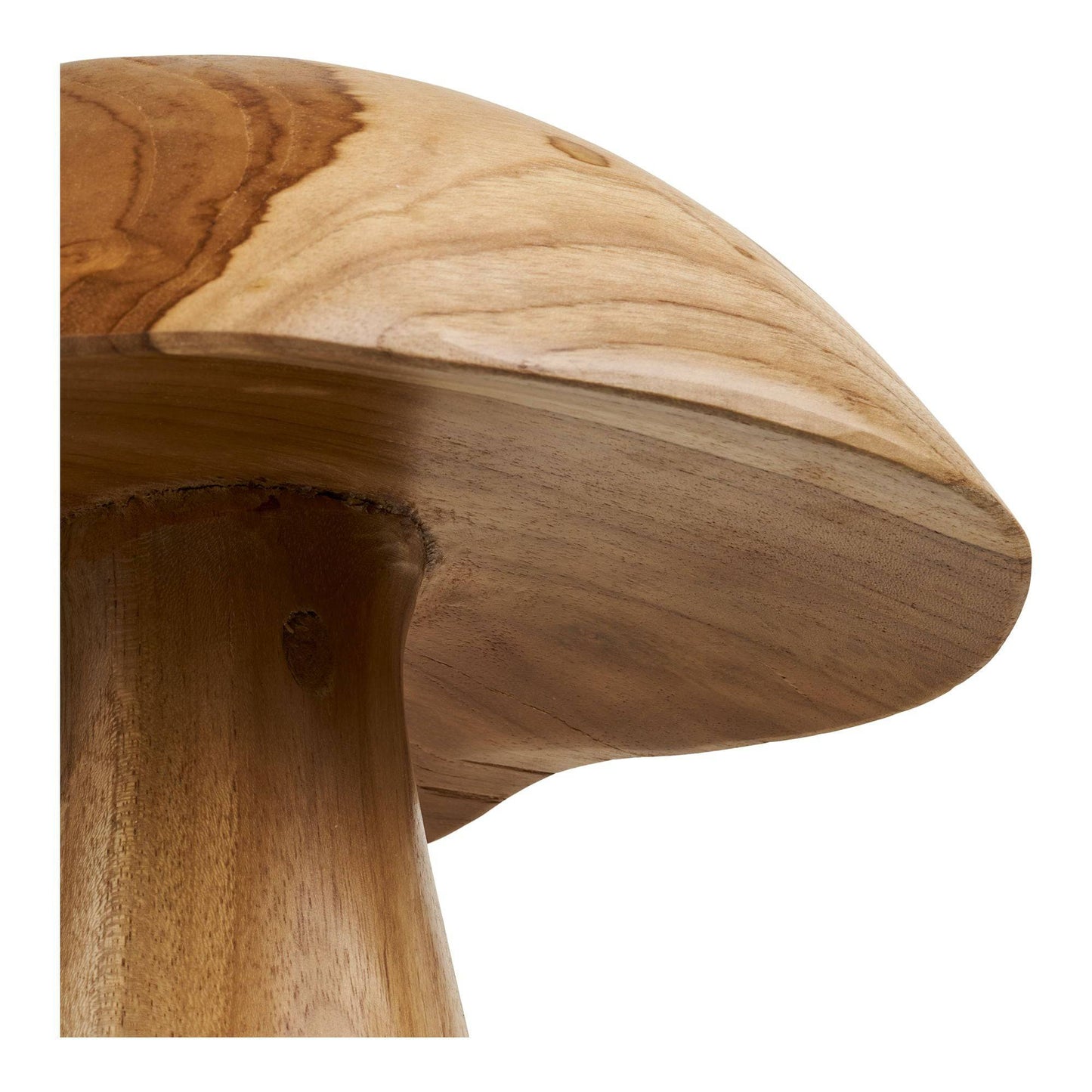 Decoratiuni ciuperci din tec, natur, set de 2