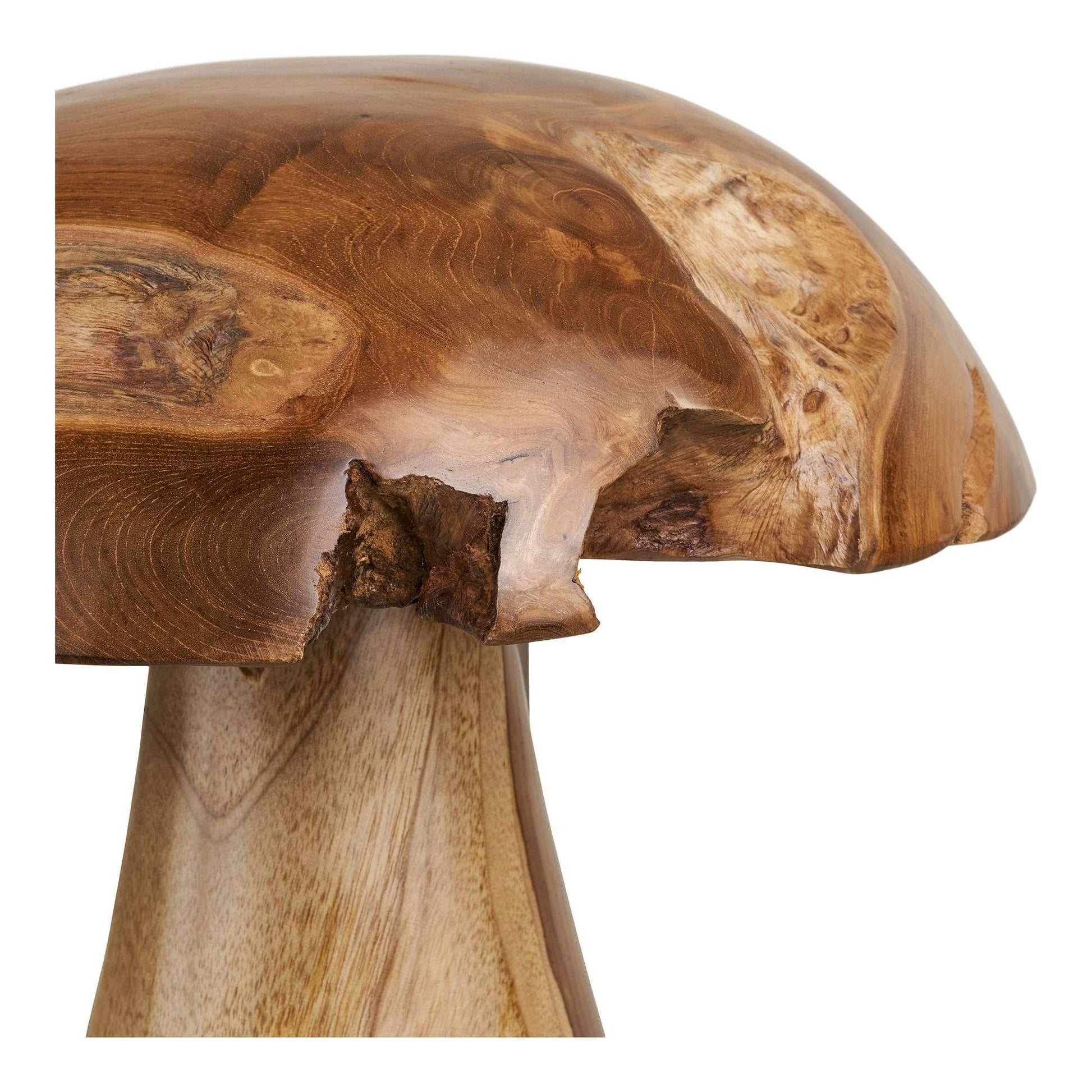 Decoratiuni ciuperci din tec, natur, set de 2
