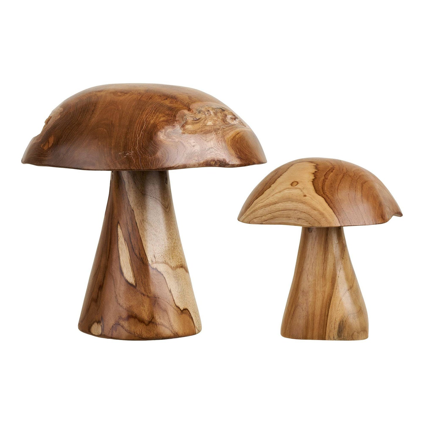 Decoratiuni ciuperci din tec, natur, set de 2