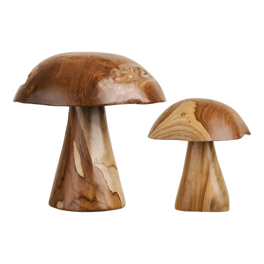 Decoratiuni ciuperci din tec, natur, set de 2
