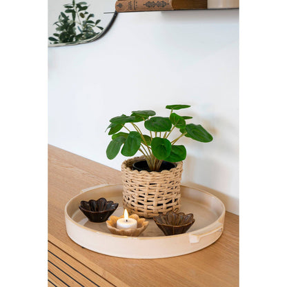 Tava ceramica alba, cu ghiveci, in living
