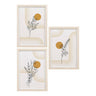 Set de 3 postere cu rame natur Madison 2