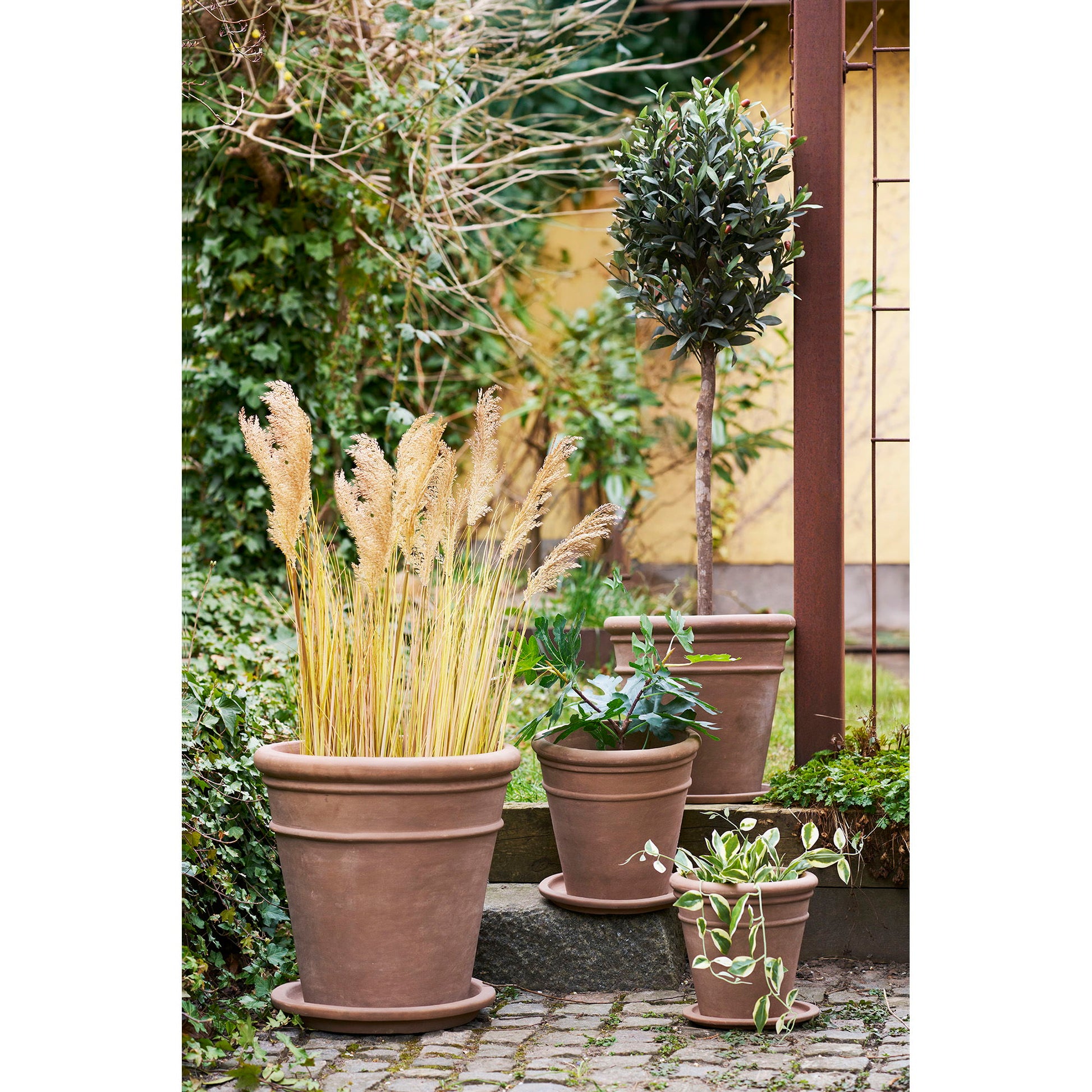 farfurie din teracota maro