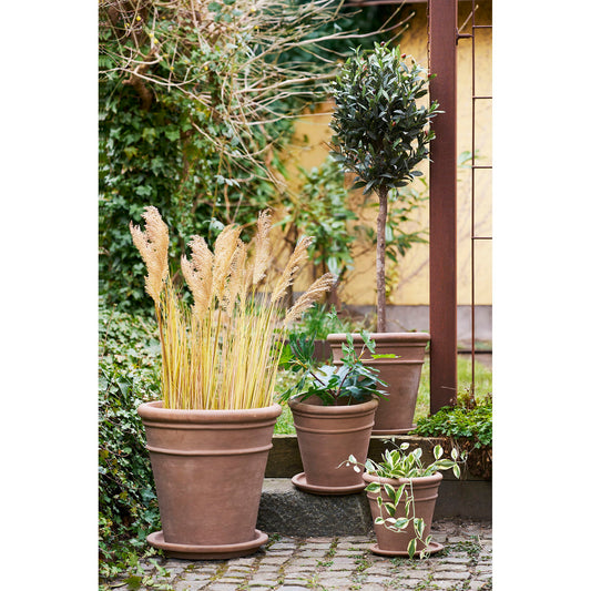 farfurie din teracota maro