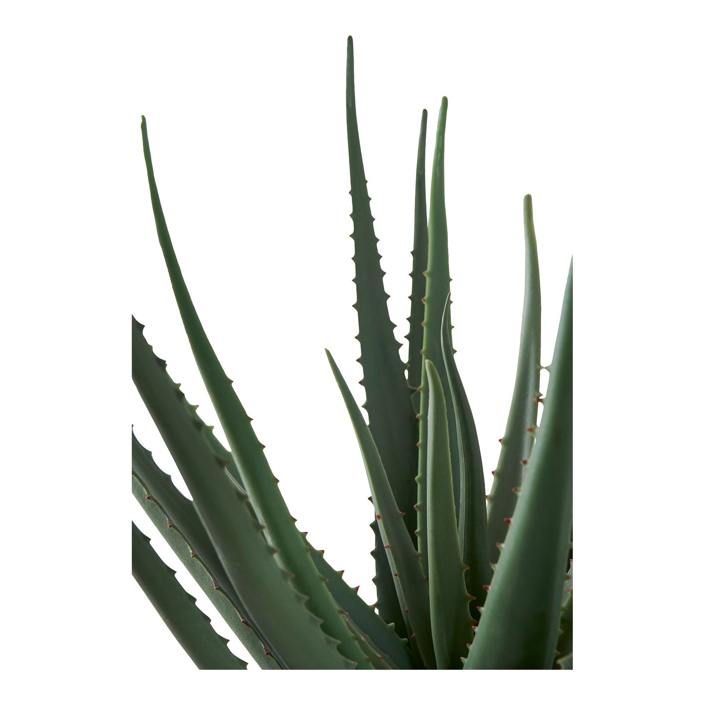 aloe vera planta artificiala verde