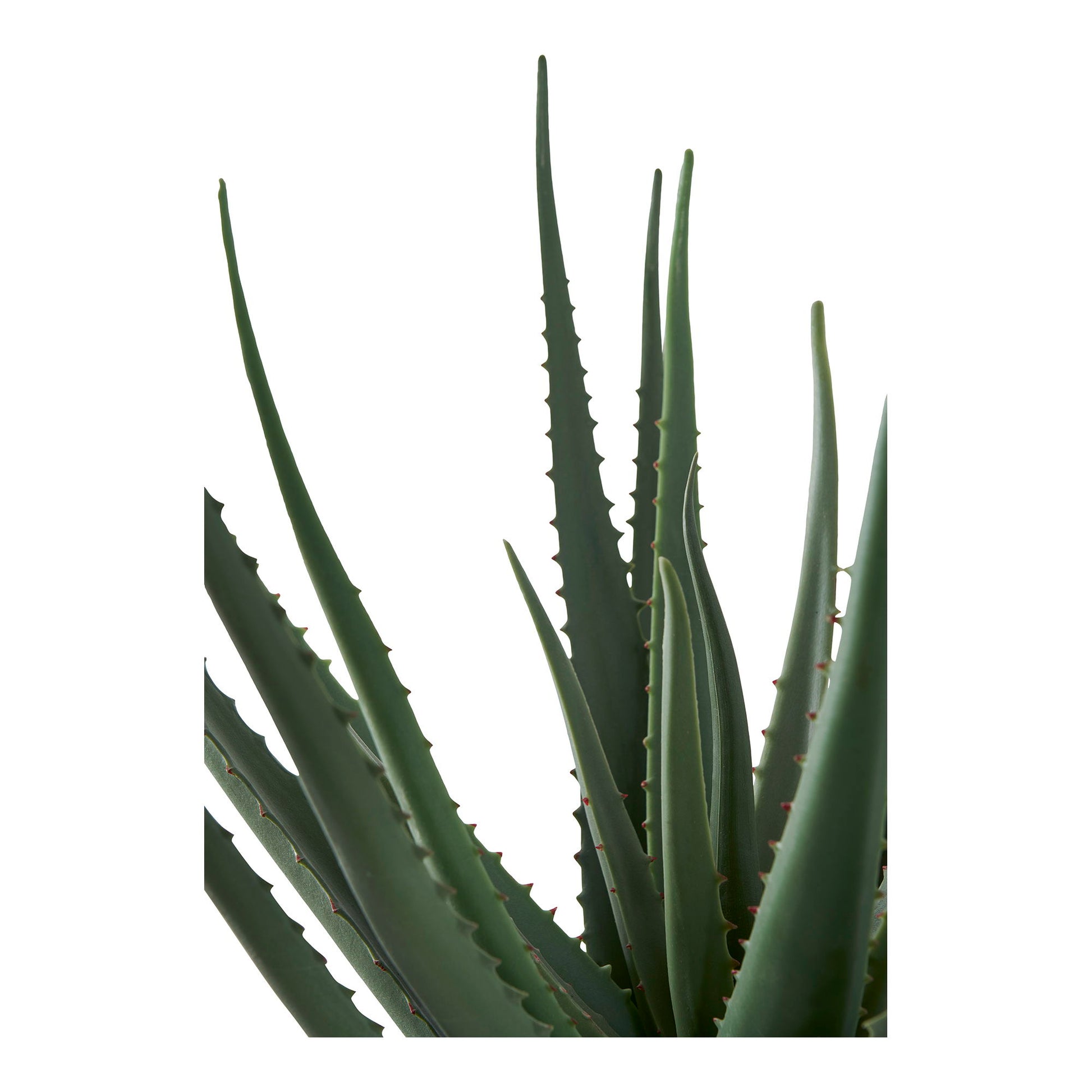 aloe vera planta artificiala verde