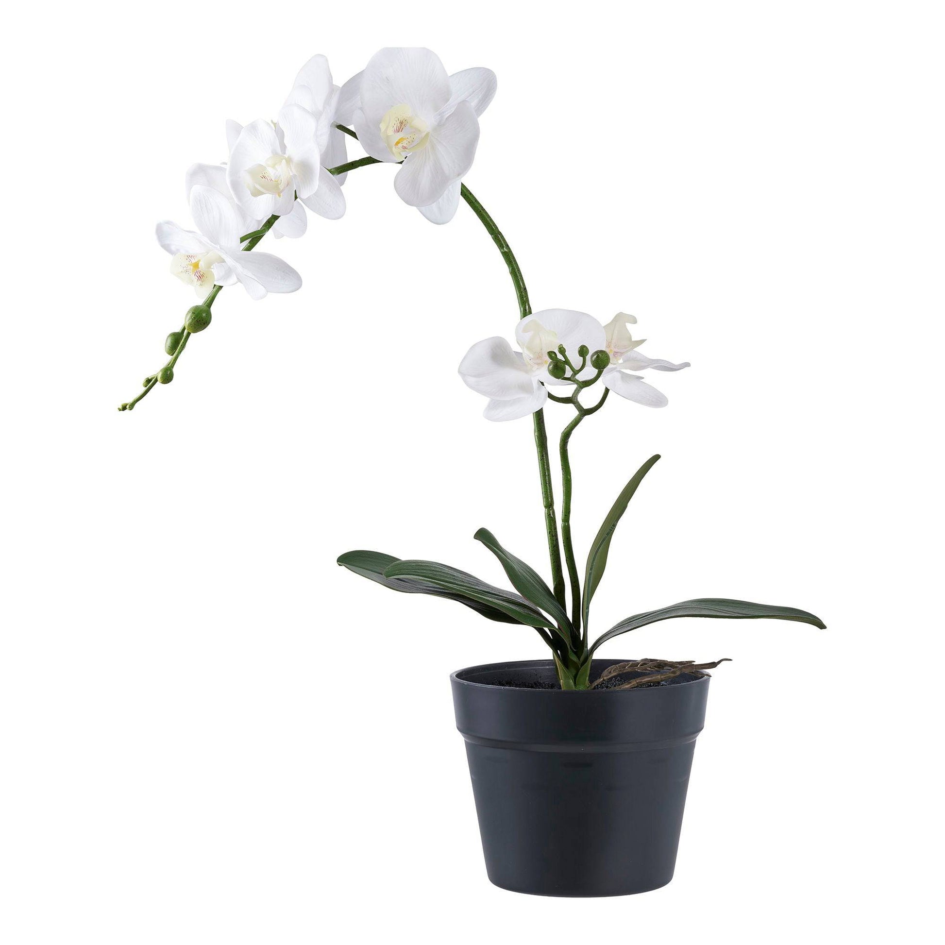 planta artificiala orhidee
