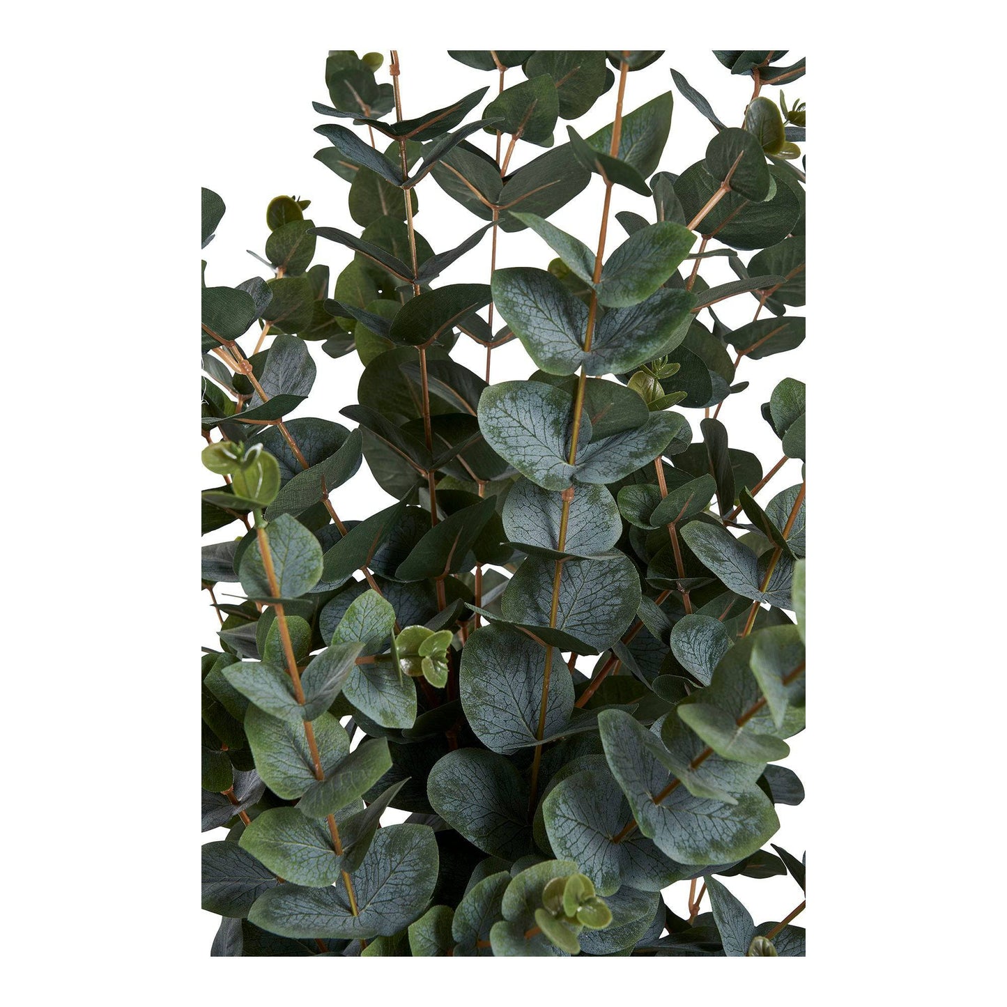 planta artificiala de eucalipt