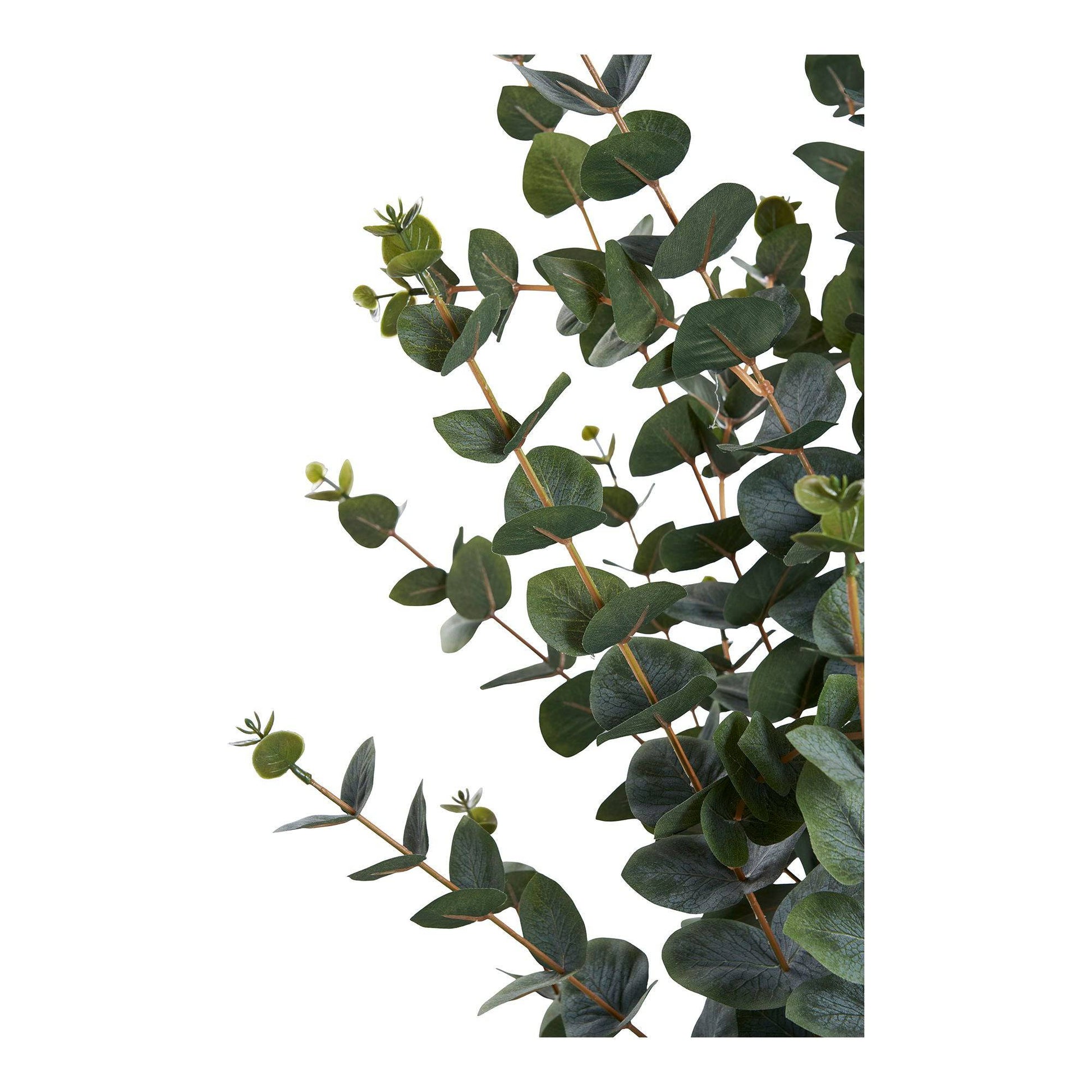 planta artificiala de eucalipt