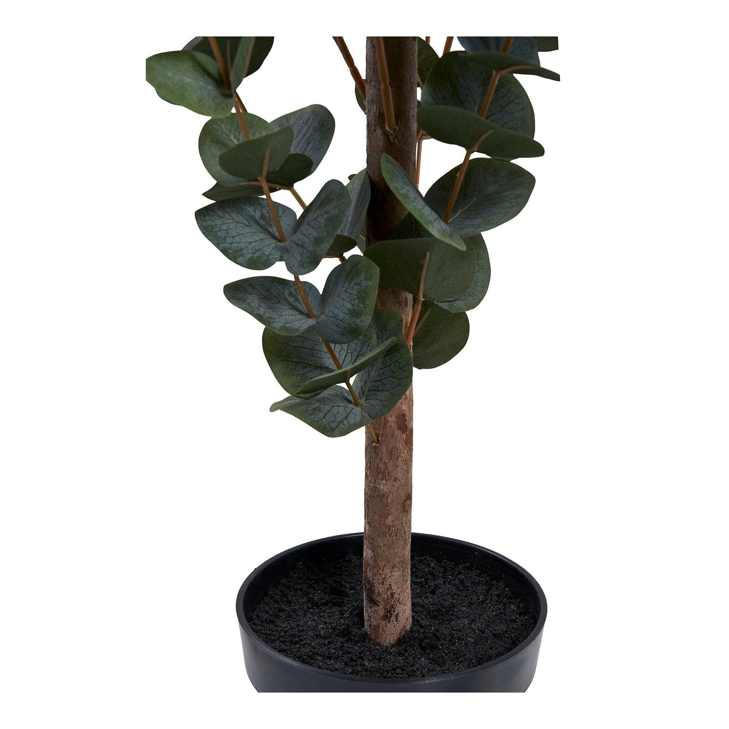 planta artificiala de eucalipt