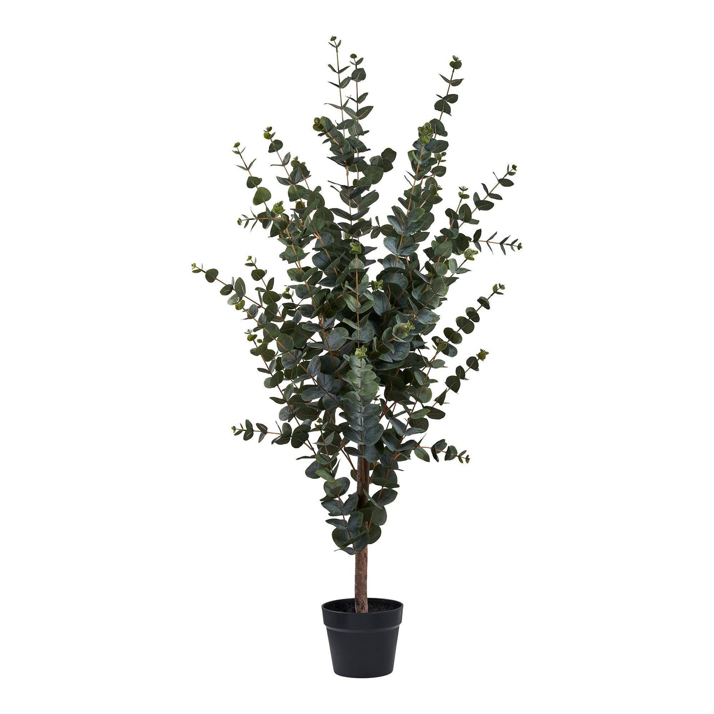 planta artificiala de eucalipt