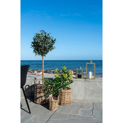 smochin copac artificial verde