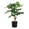 Smochin artificial verde I:60 cm