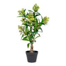 Skimmia japonica, copac artificial I:75 cm