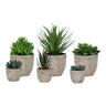 Set de plante artificiale, 150 bucati
