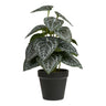 Planta artificiala verde I: 33 cm