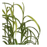 Iarba artificiala verde I:68 cm