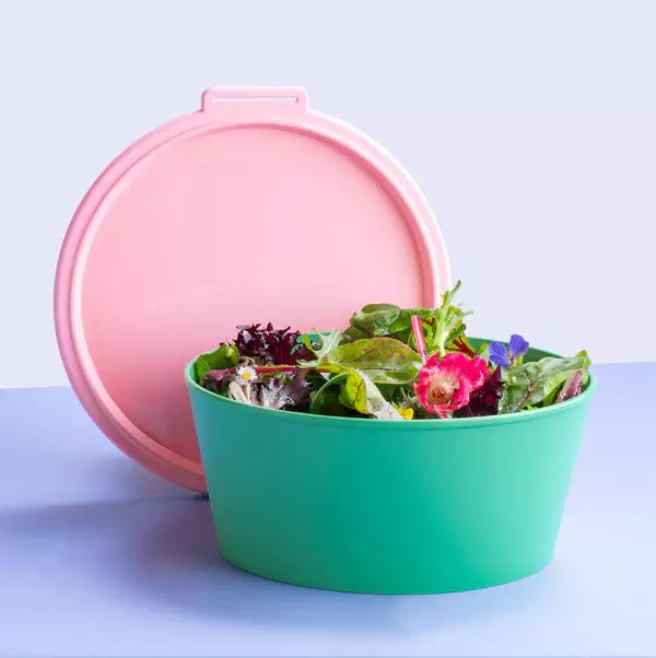Cutie alimentara cu salata, capac roz, pe fundal alb