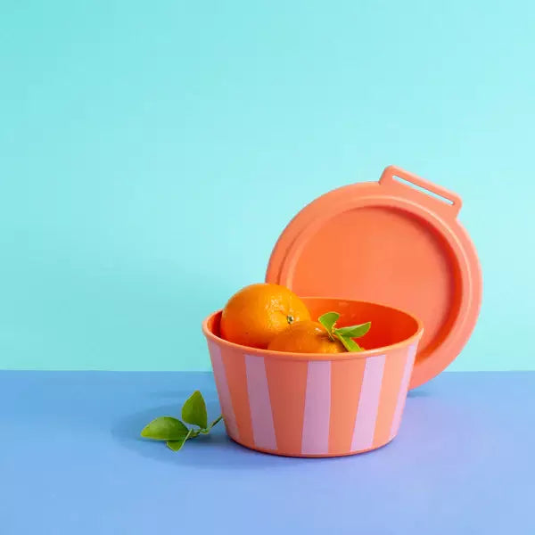 Cutie alimentara cu design in dungi si capac, pe fundal albastru